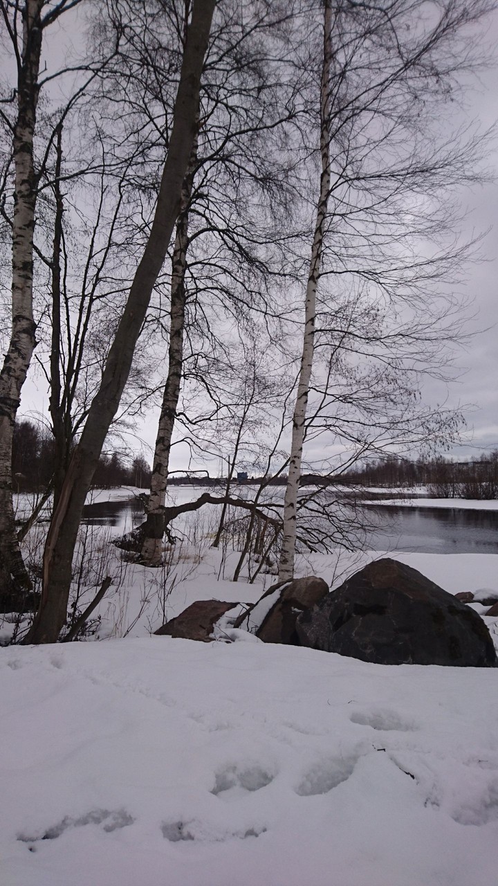 beautiful nature in Oulu,Finland.