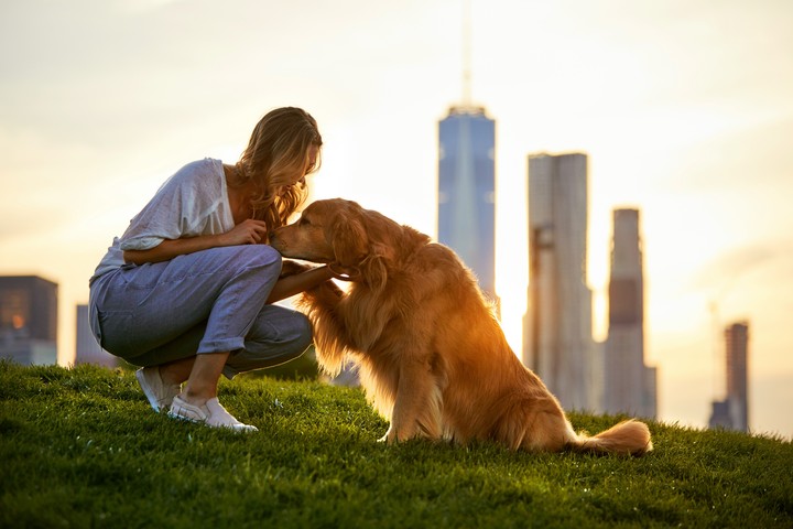 Love like this.