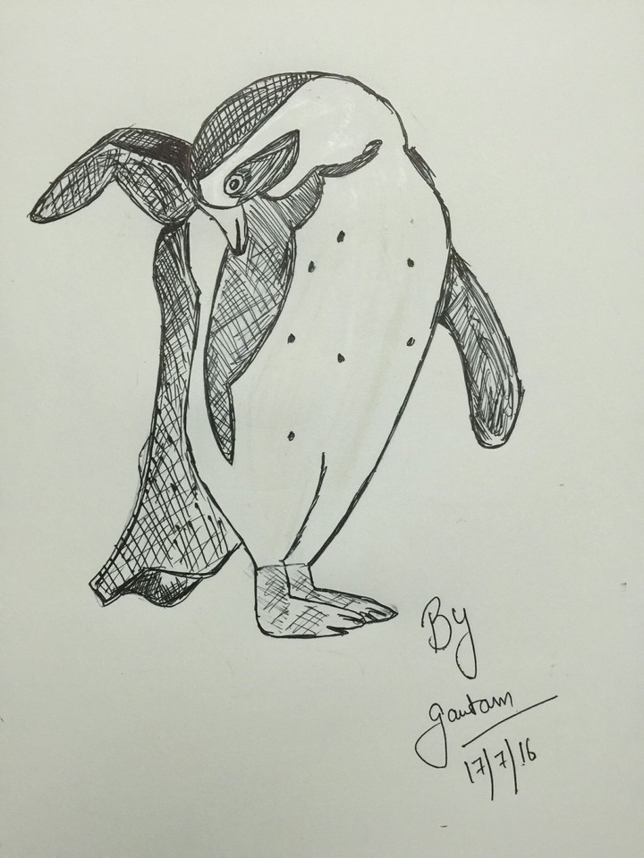 penguin