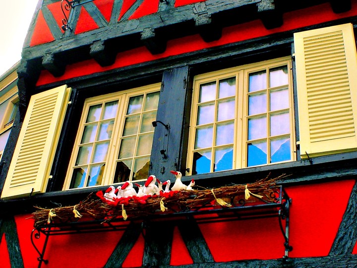 colmar