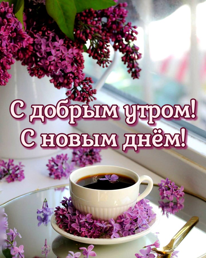 доброе утро