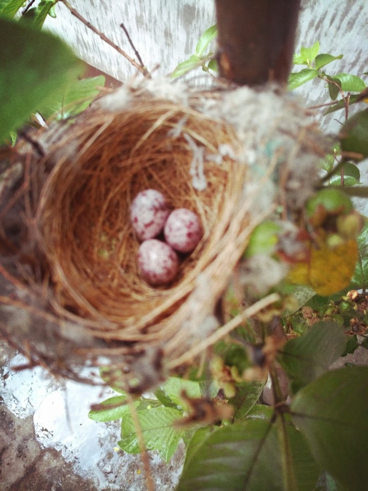 New Life is coming