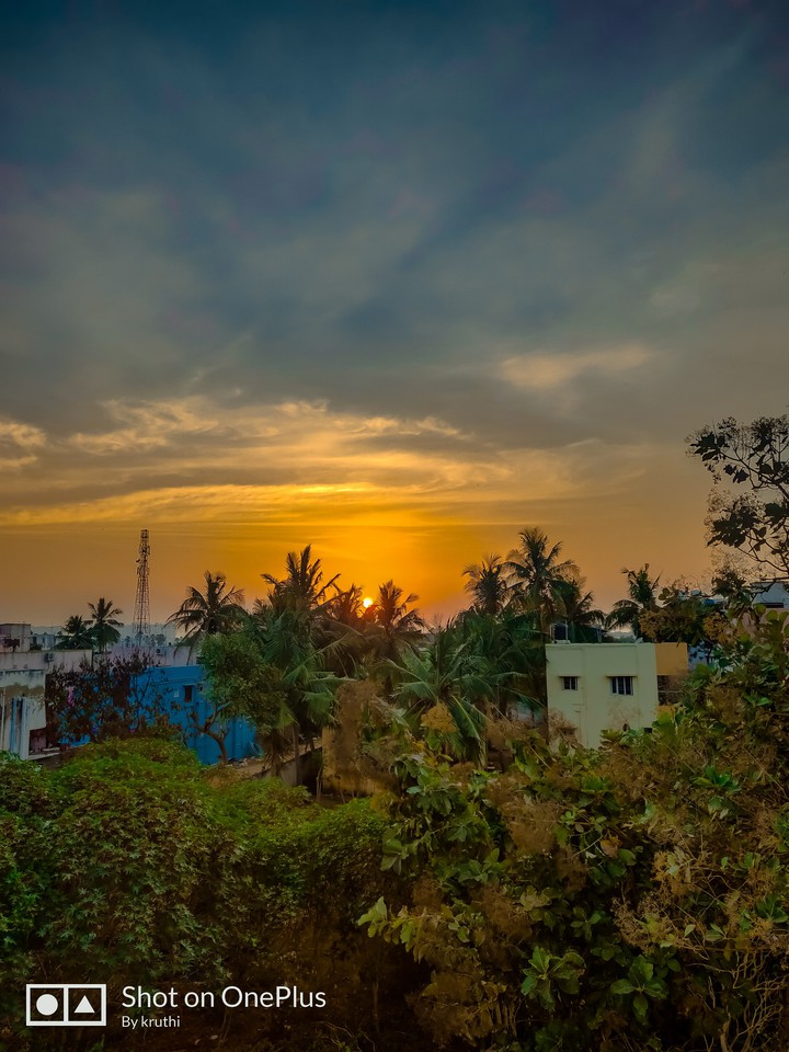 sunset