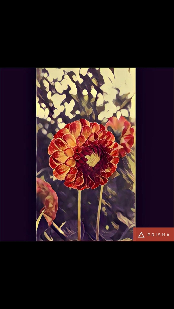 Flower made with Prisma
