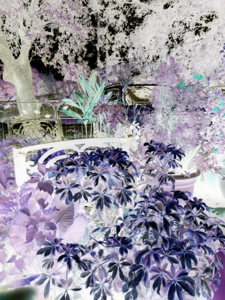 jungle vibes