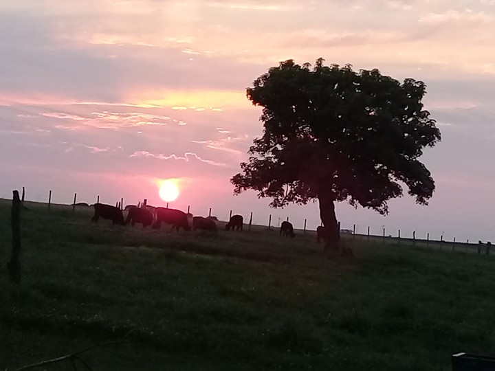 Atardecer!