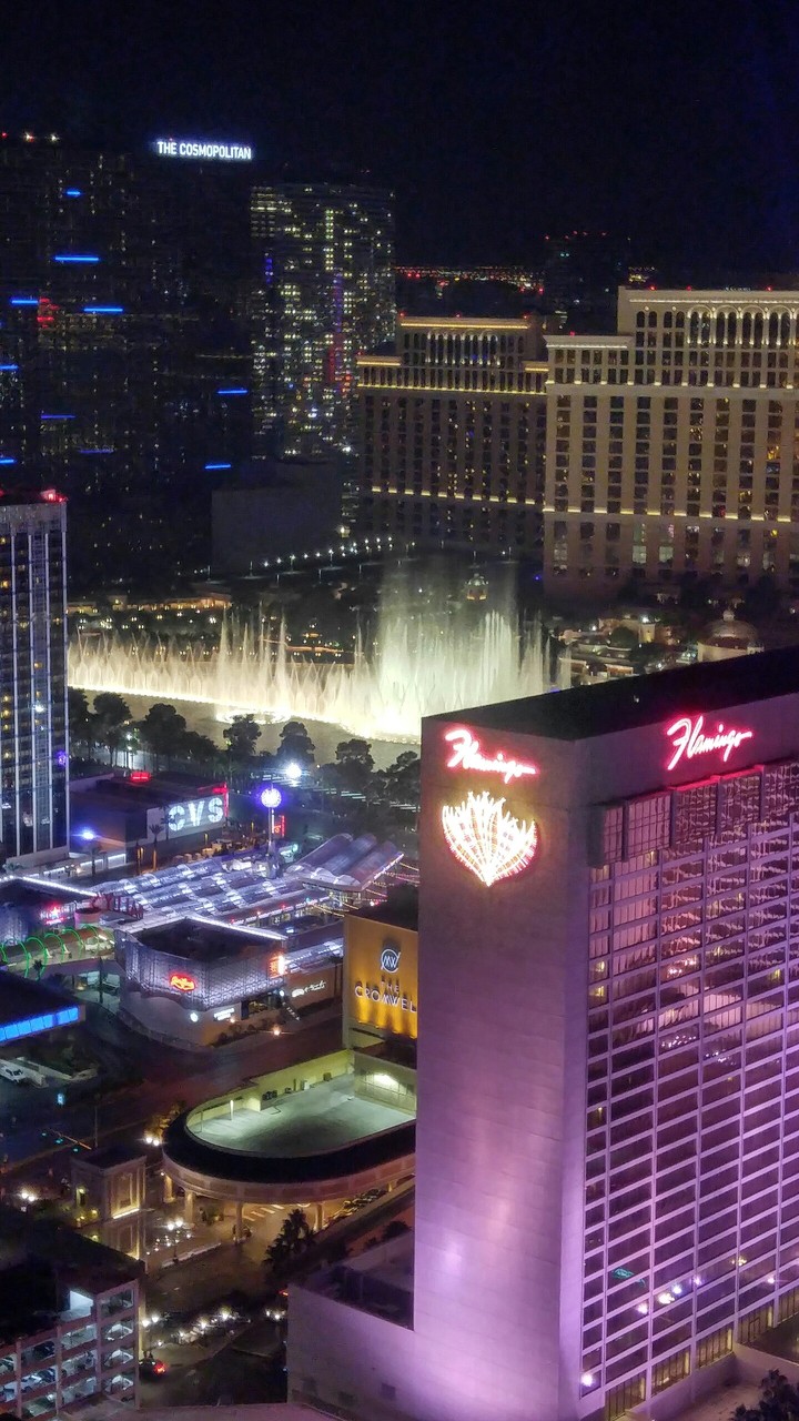 More Flamingo and Belagio