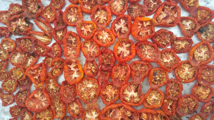 tomatoes