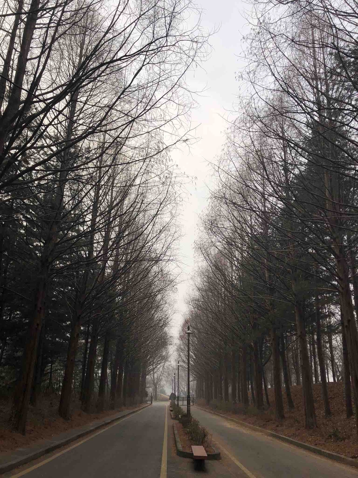 휴식