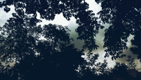 #Morning view