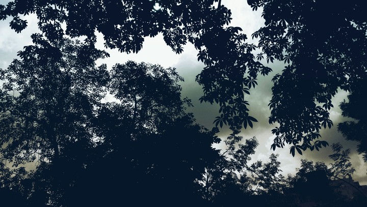 #Morning view