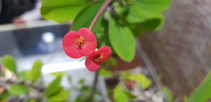 Photo by me