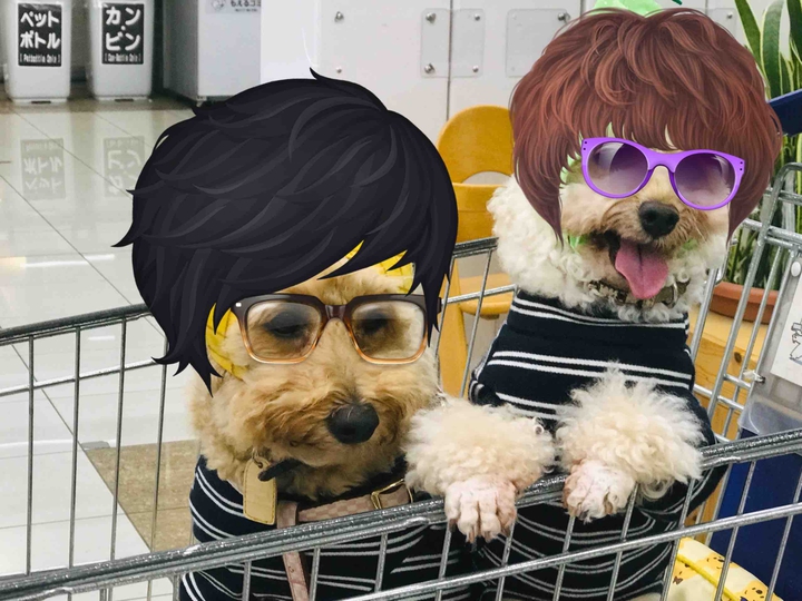 Lucky & Money