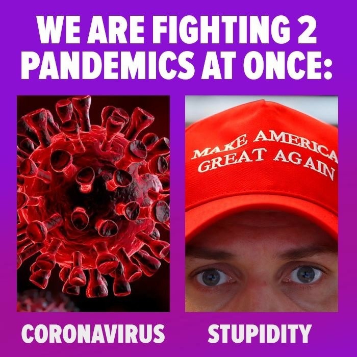pandemic