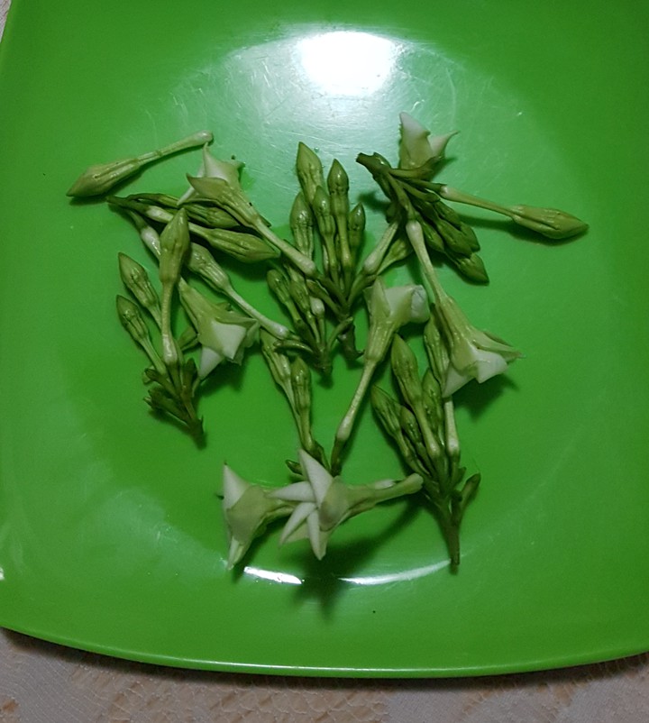 loroco en flor