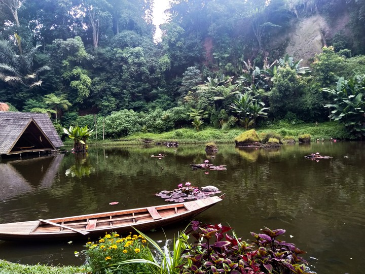 Greeny Nature