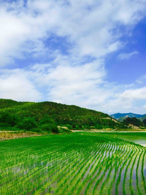 Korea