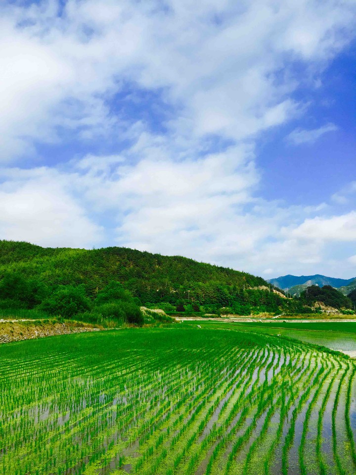 Korea