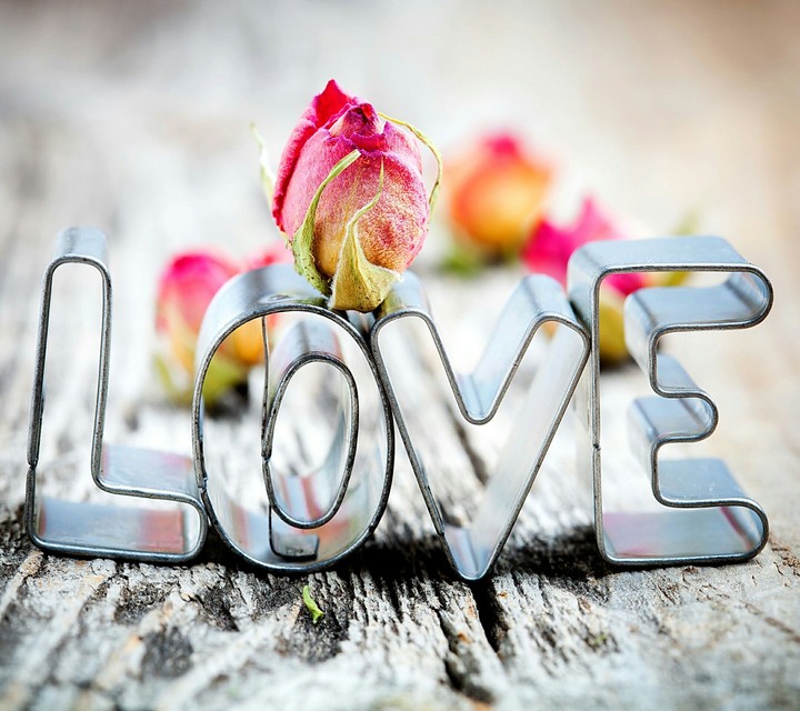 love