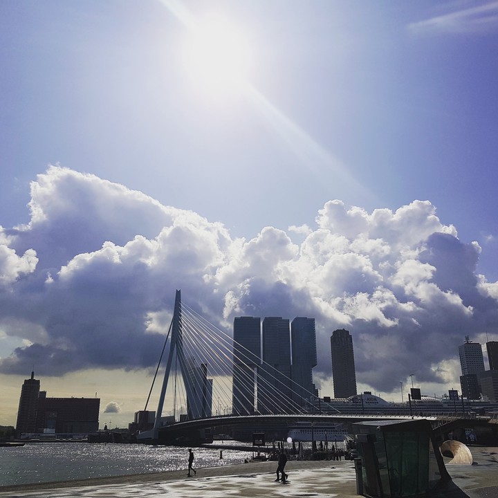Rotterdam Erasmus brug