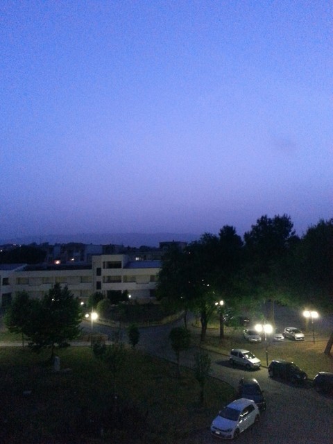 Unico di notte