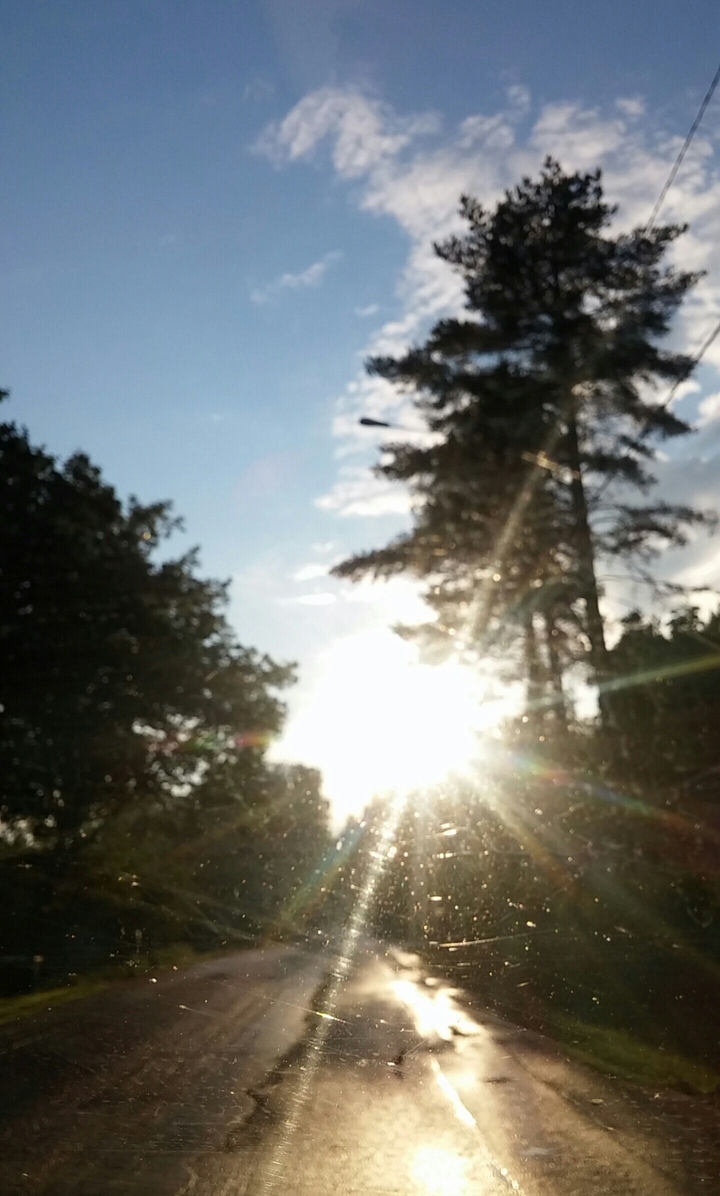 Finnish summer