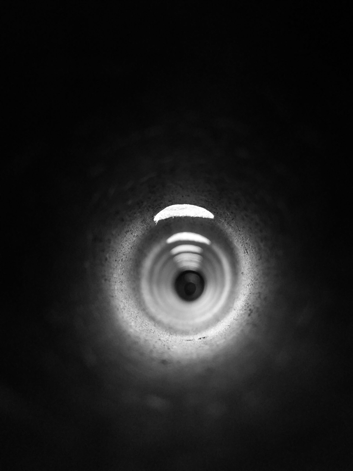 The Flute
