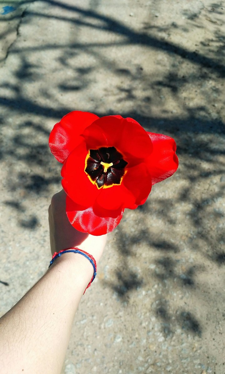 Spring