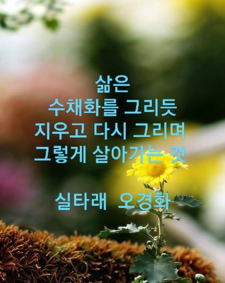 실타래