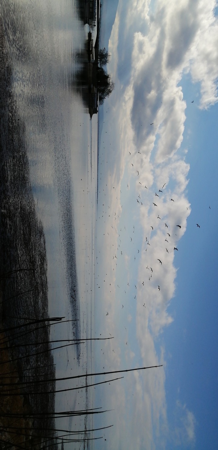 nature