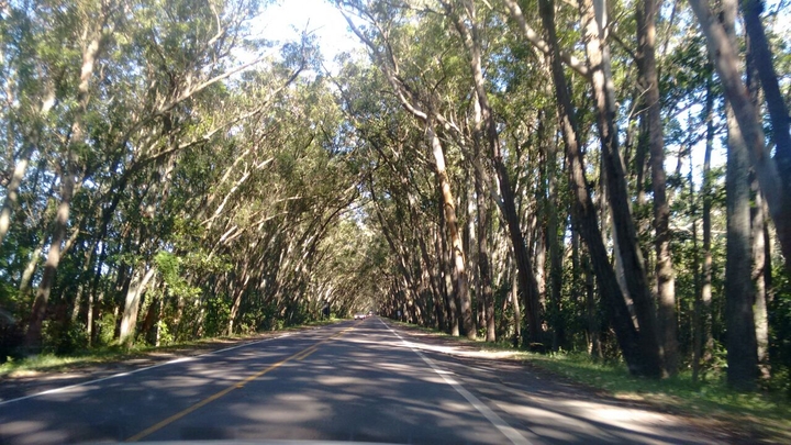 the way to somewhere