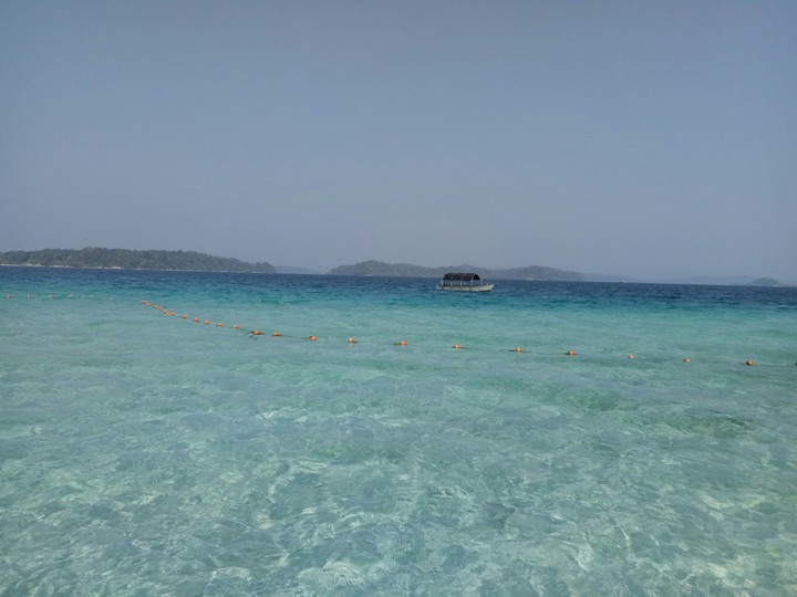 bliss