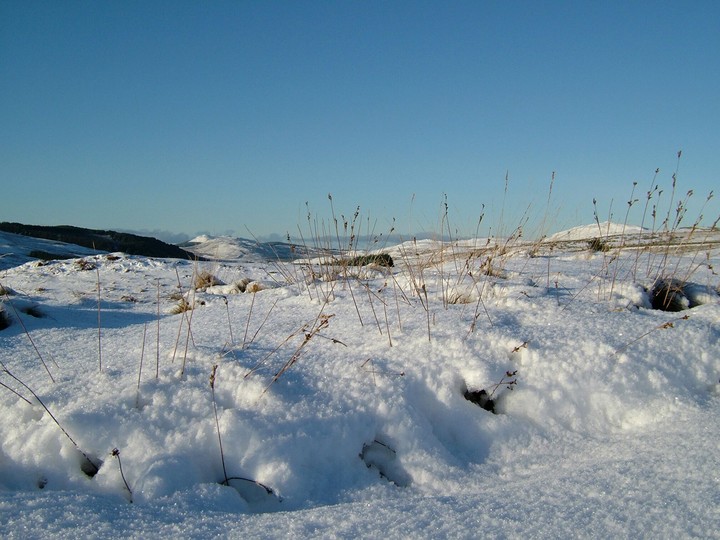 Snow scotland
