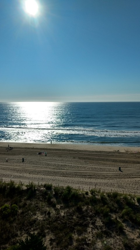 Morning Beach