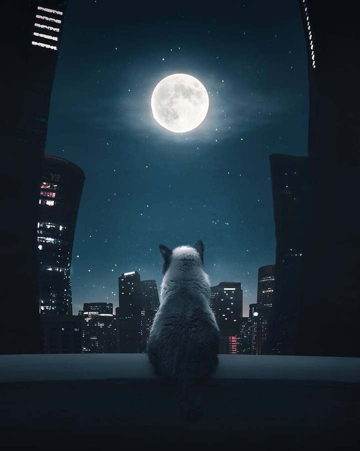night