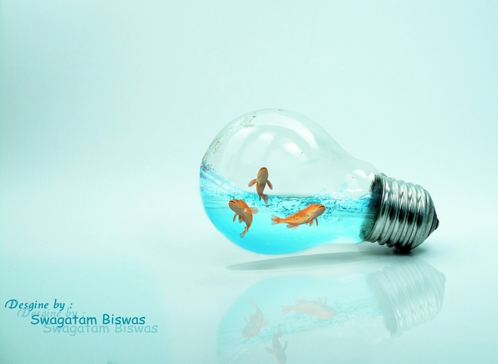 Bulb Fish Tank
