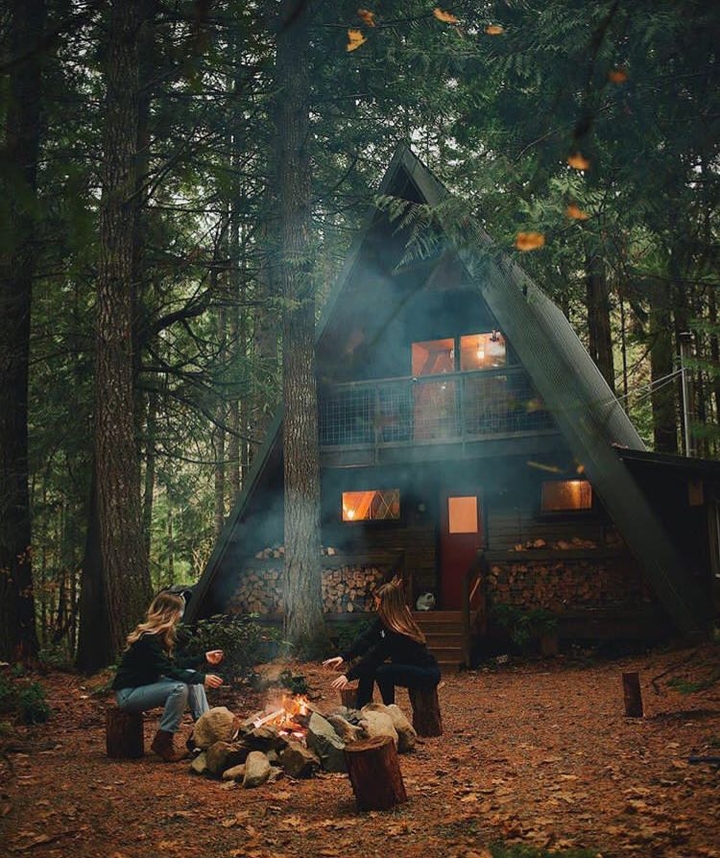 Forest diaries