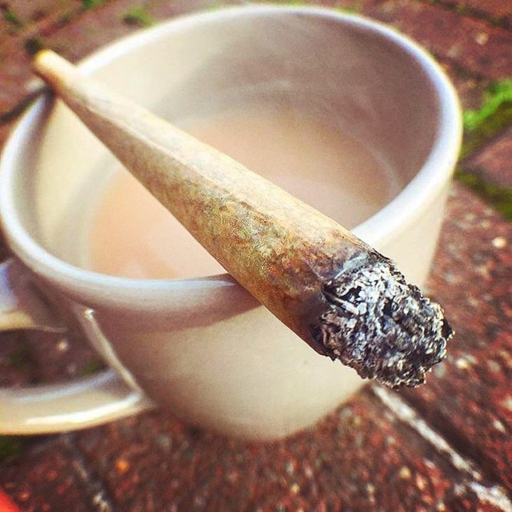 weed