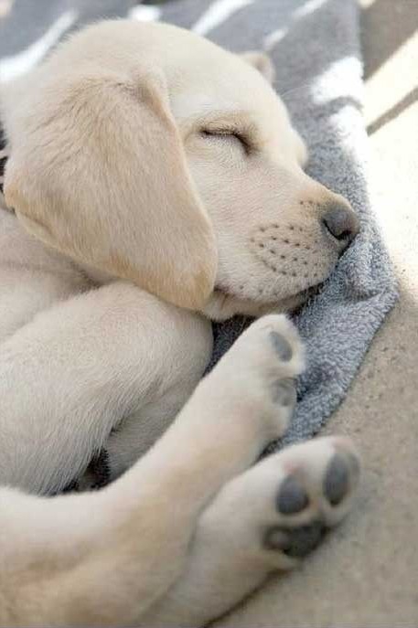 ♥