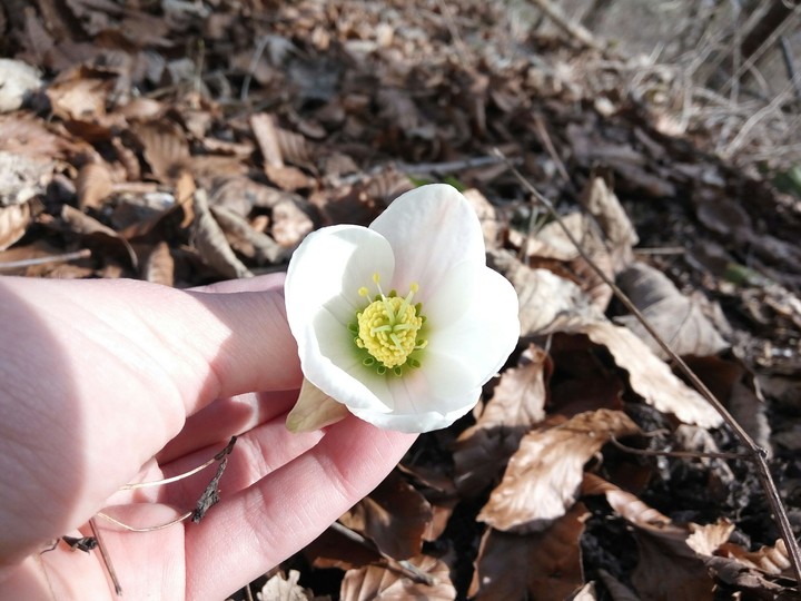 Spring is coming