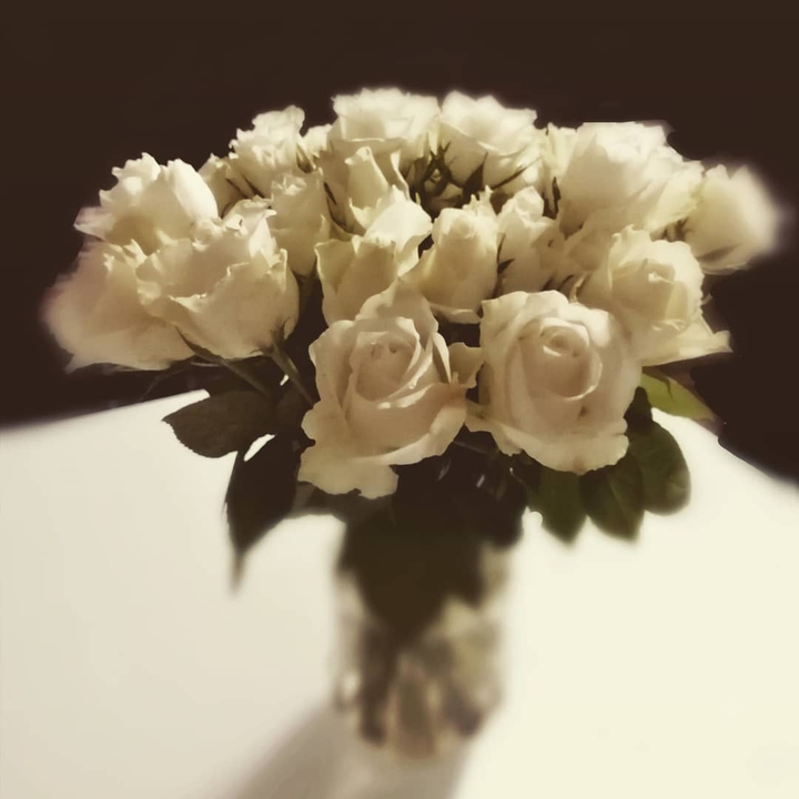 white roses