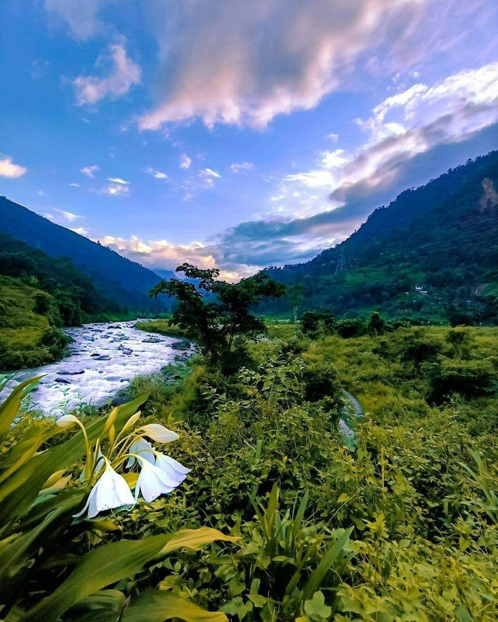 Nature's Beauty