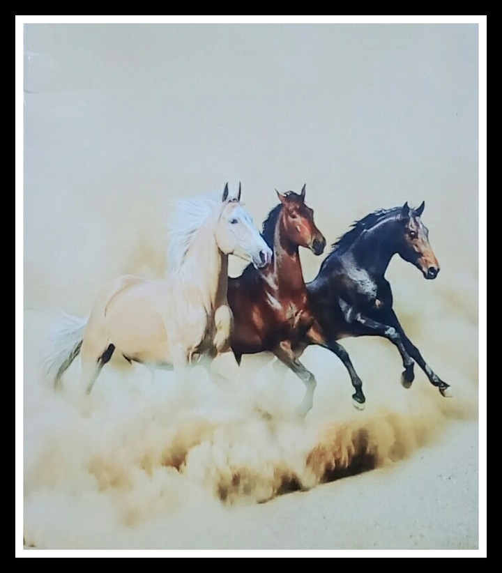 running horses