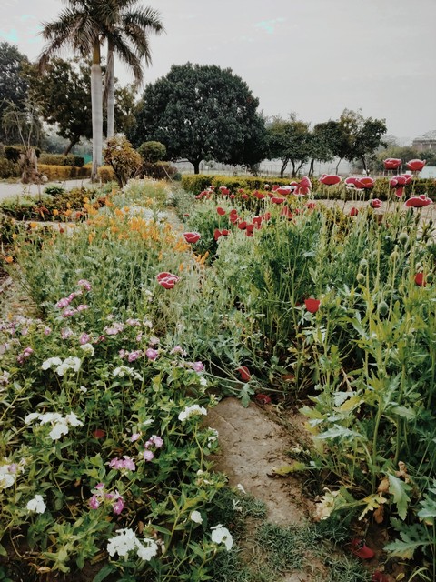 department of horticulture