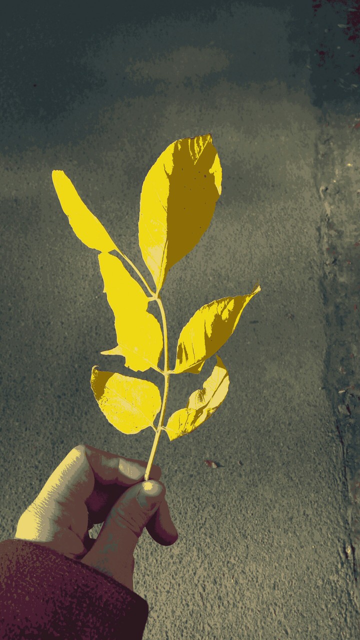autumn