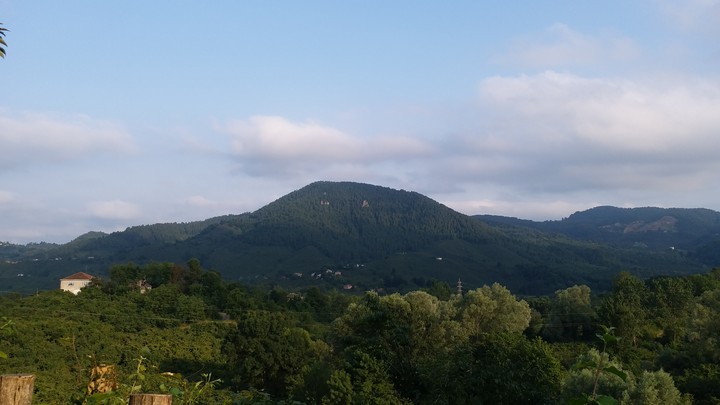 Mountain