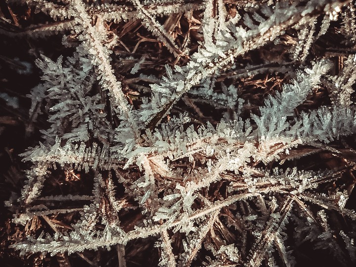 frost