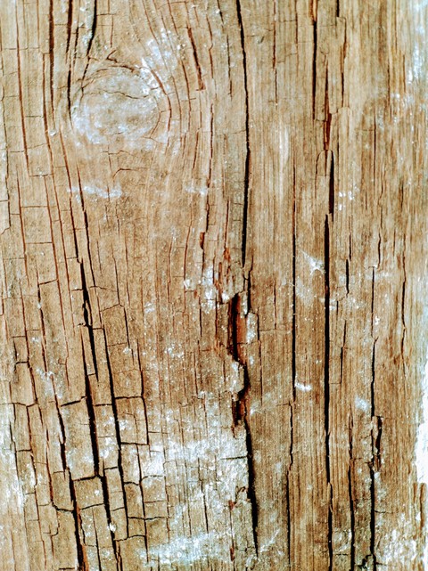 Old floorboard