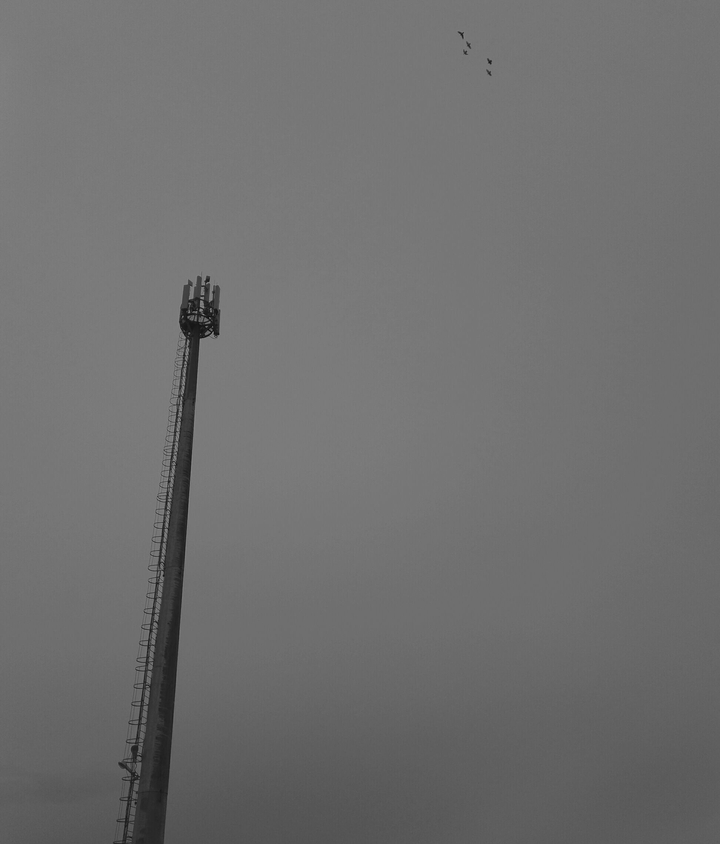 Tower
