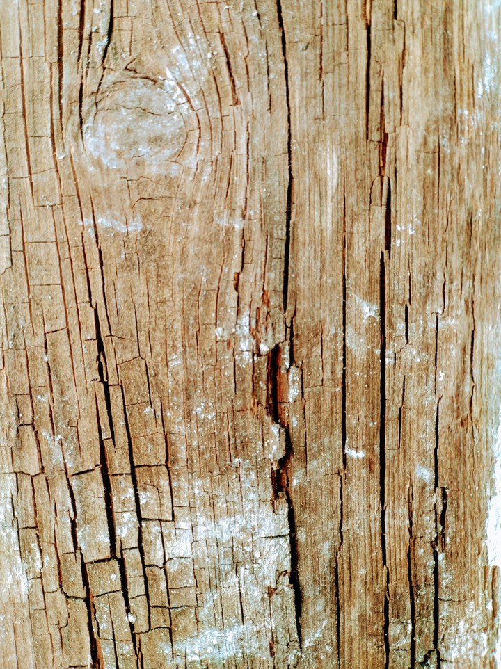 Old floorboard